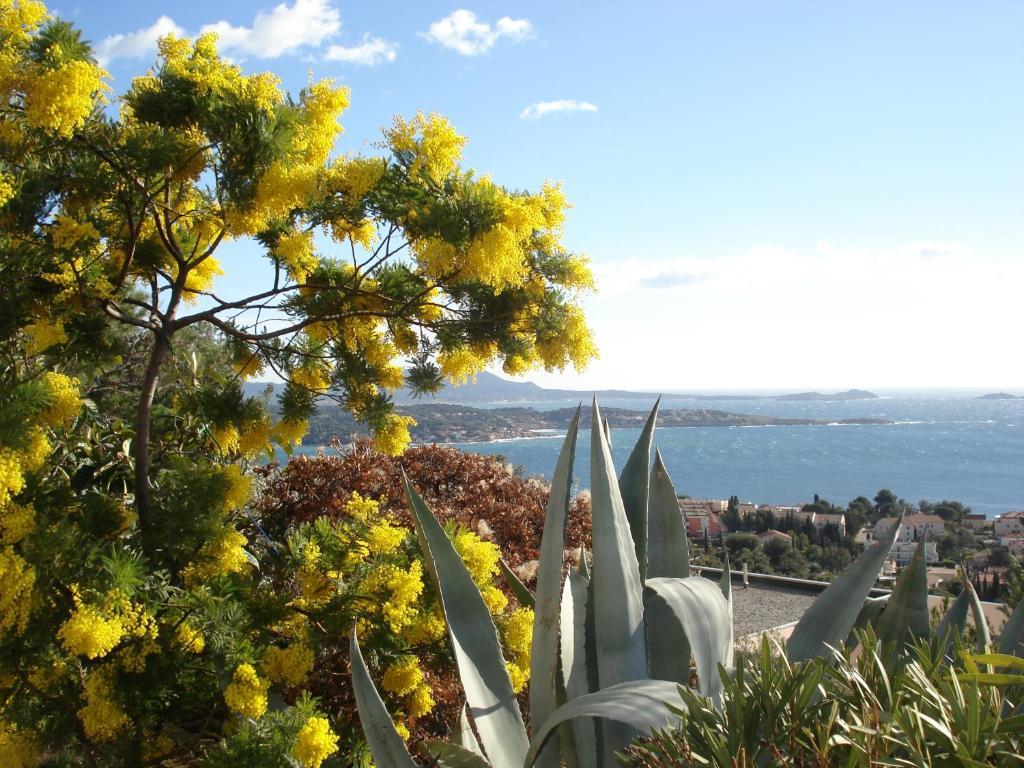 Residence Le Bosquet Bandol Luaran gambar